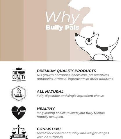 BULLY PALS - 12 inch Beef Tail - 7 Pack - (480 gr) - Cow Tail - Long Lasting, All Natural, Rawhide Free, Dehydrated Dog Treats and Dental Chews - Ox Tail