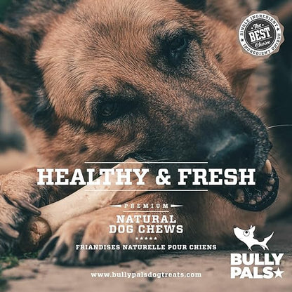 BULLY PALS - 12 inch Beef Tail - 7 Pack - (480 gr) - Cow Tail - Long Lasting, All Natural, Rawhide Free, Dehydrated Dog Treats and Dental Chews - Ox Tail